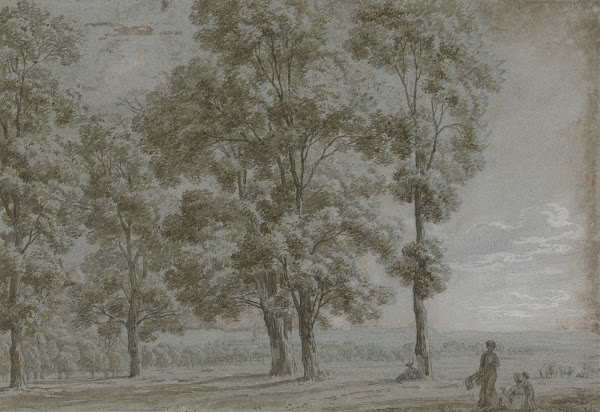 Gruppe von fünf hohen Bäumen mit Durchblick auf eine weite Landschaft rechts vor