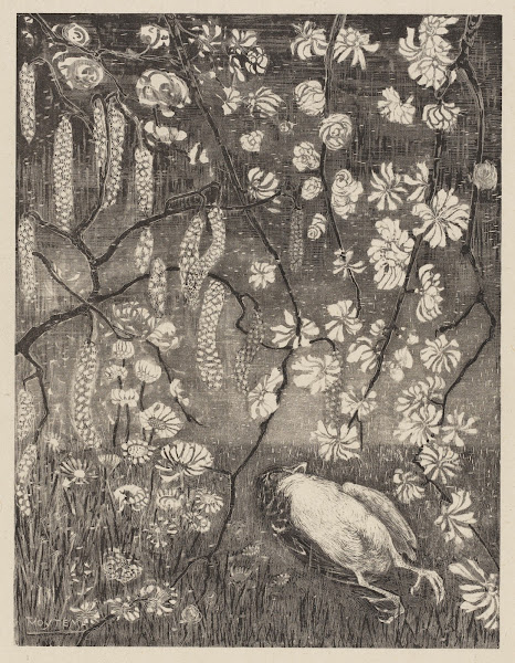 Dood vogeltje onder hazelaar  en kamperfoelietakken 1905