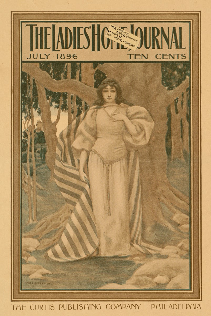 The ladies home journal July 1896 1896