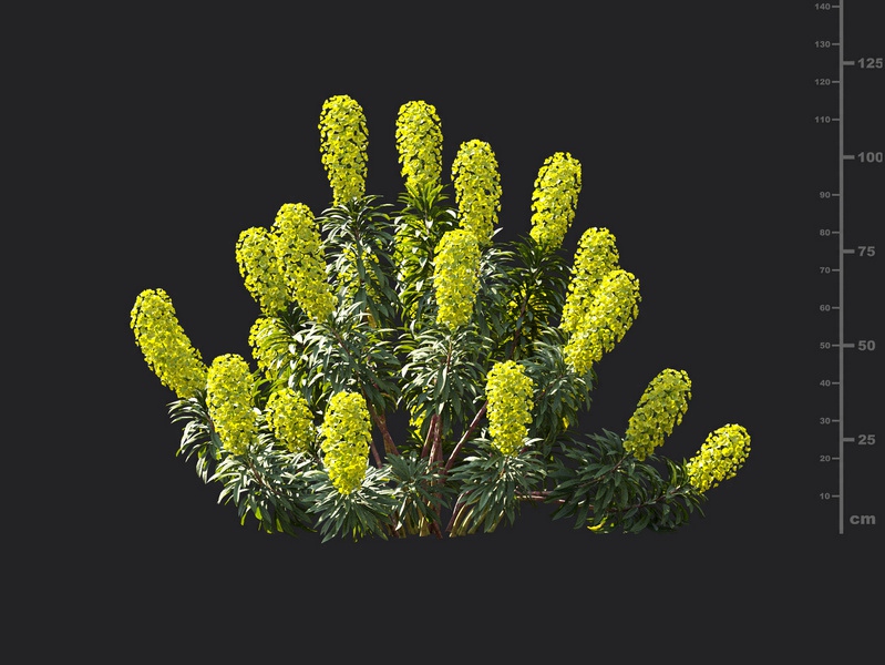 Maxtree - Plant Models Vol.119