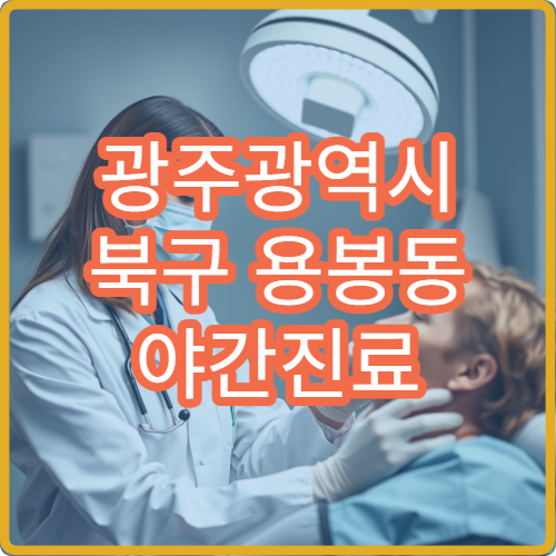 광주광역시 북구 용봉동 야간진료 이비인후과, 비염·축농증 진료