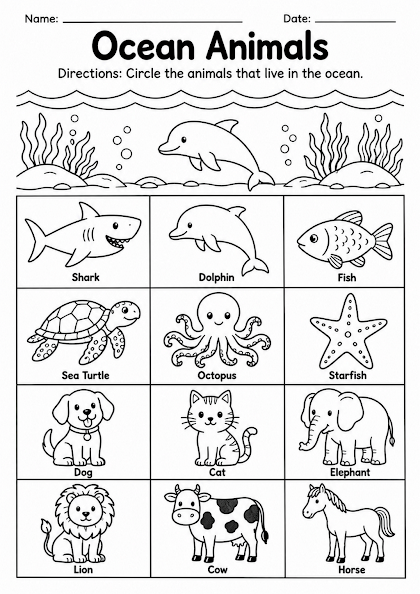 Ocean Animals