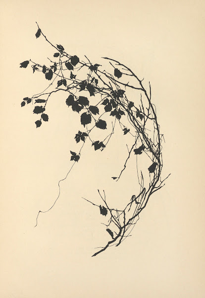 Vom Zufrieden Werden Pl20 1932