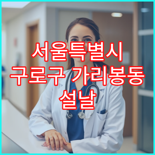 서울특별시 구로구 가리봉동 설날 명절 소아과 연휴 진료 병원 발열·설사 영유아 응급 진료 가능