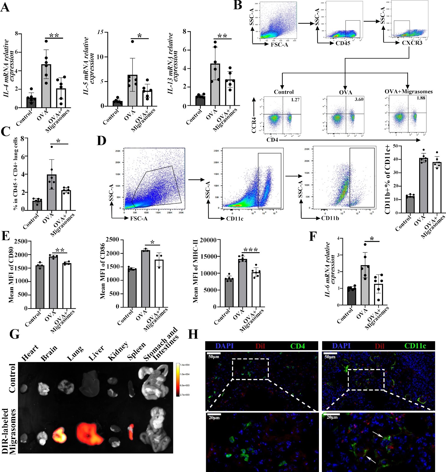 Migrasomes derived from human umbilical cord mesenchymal stem cells: a new therapeutic agent for ovalbumin-induced asthma in mice