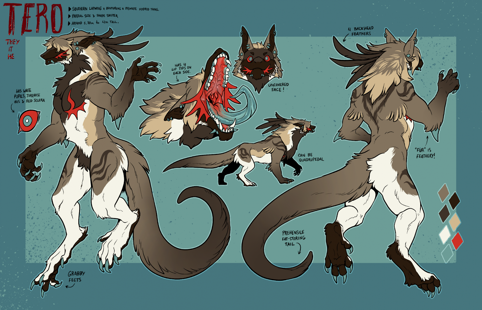 Ref Sheet for Tero