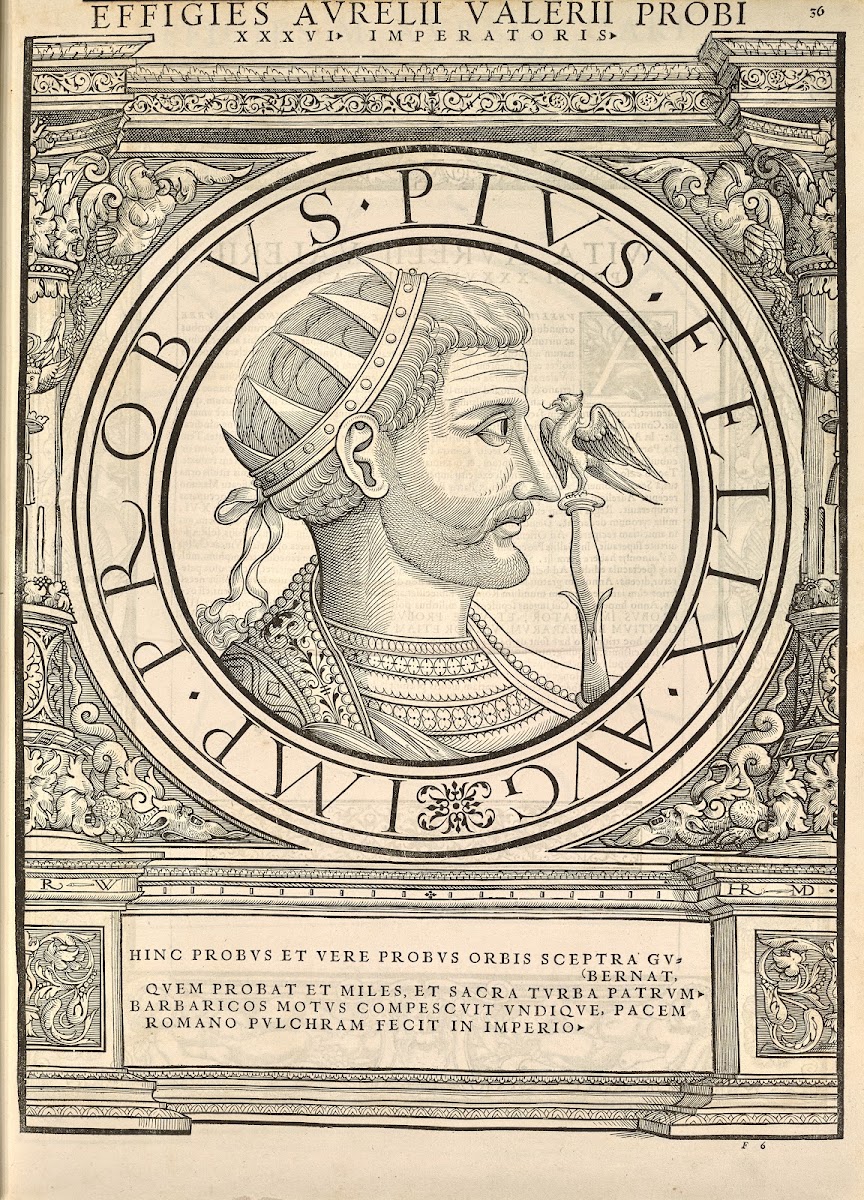 Probus 1559