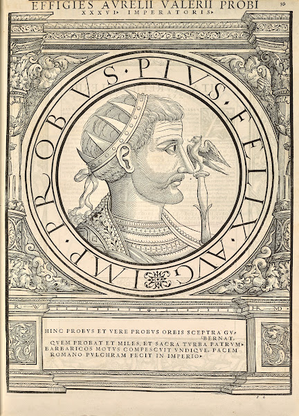 Probus 1559