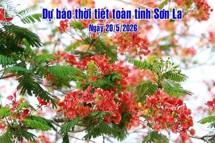 Dự báo thời tiết toàn tỉnh Sơn La ngày 20/5/2026 - Báo Sơn La