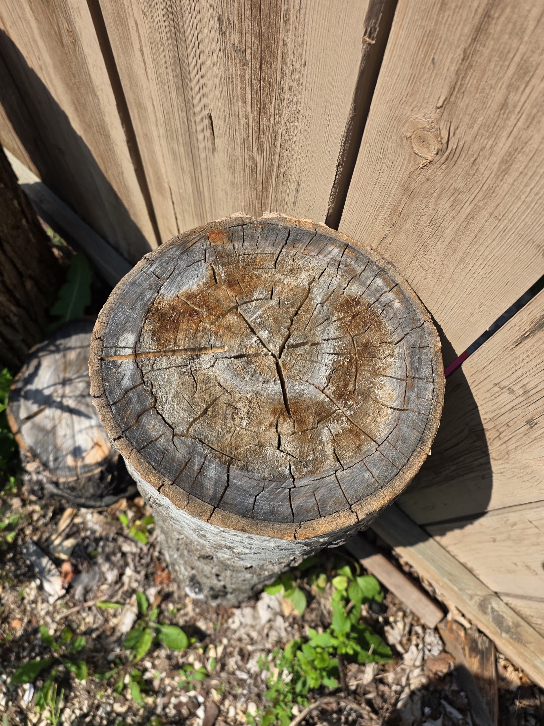 The Victoria Beach birch end grain