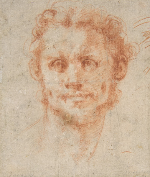 Study of a Mans Head 152025