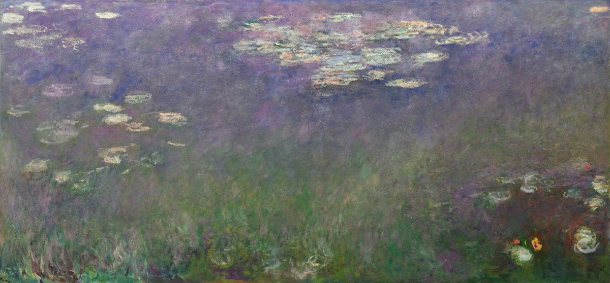 Water Lilies Agapanthus c 191526