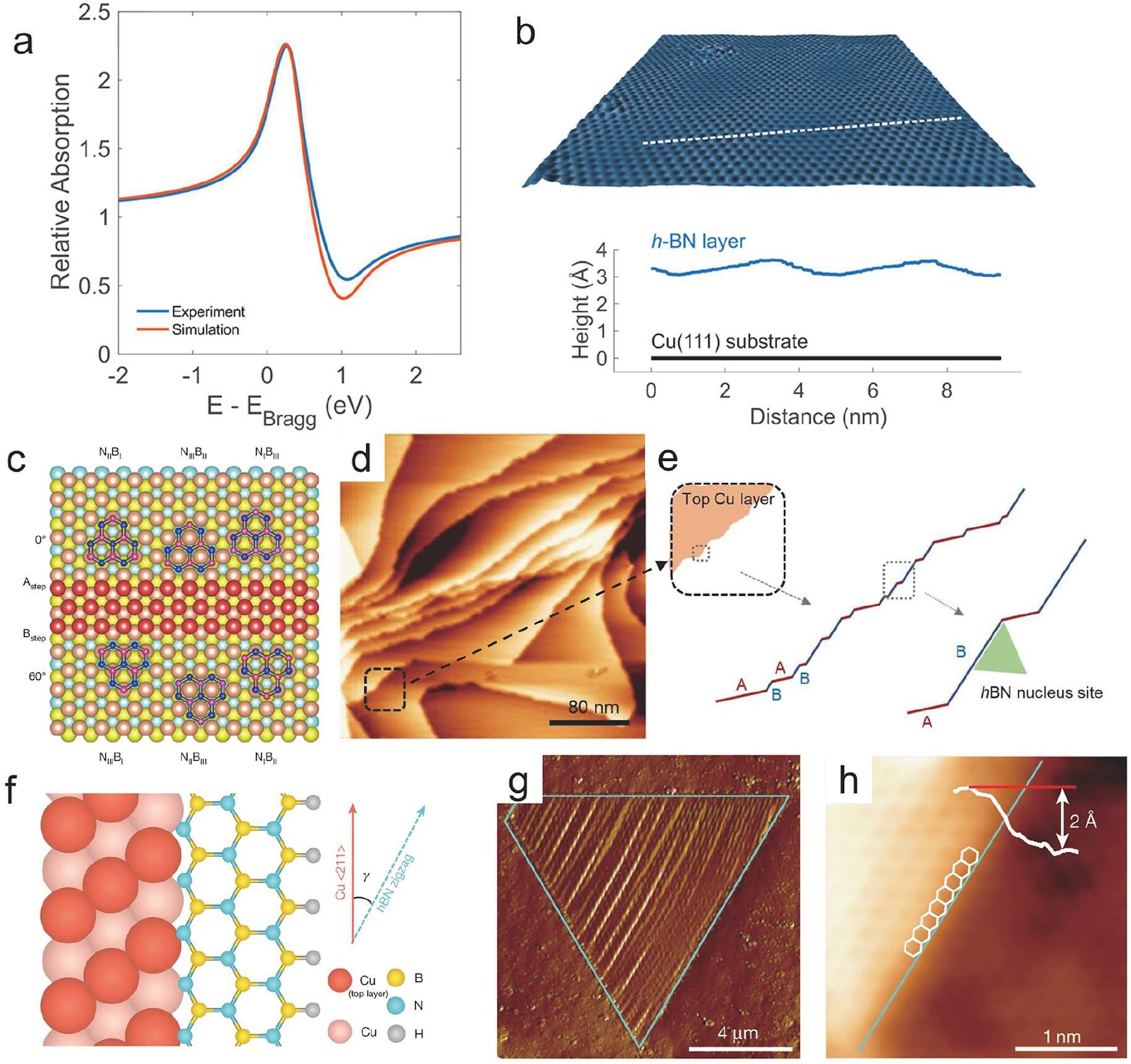 Interface engineering in hexagonal boron nitride/metal systems: from in situ growth to metal matrix composites