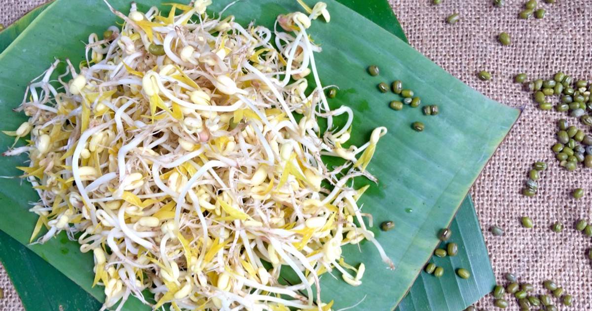 Cách làm giá đỗ đơn giản trong nồi