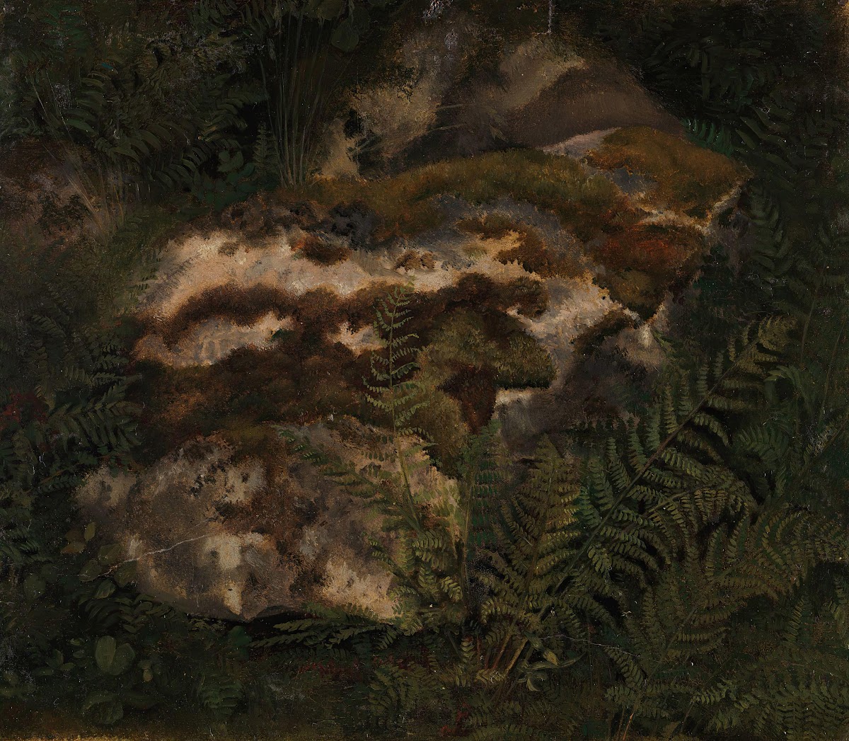 Study of an Moss covered Stone and Ferns 1830