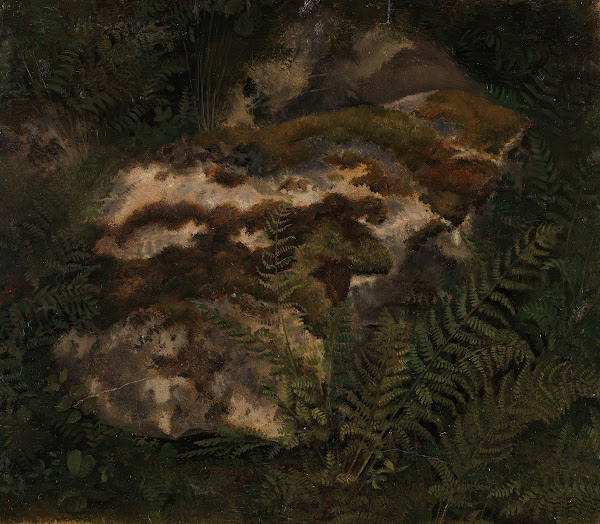 Study of an Moss covered Stone and Ferns 1830