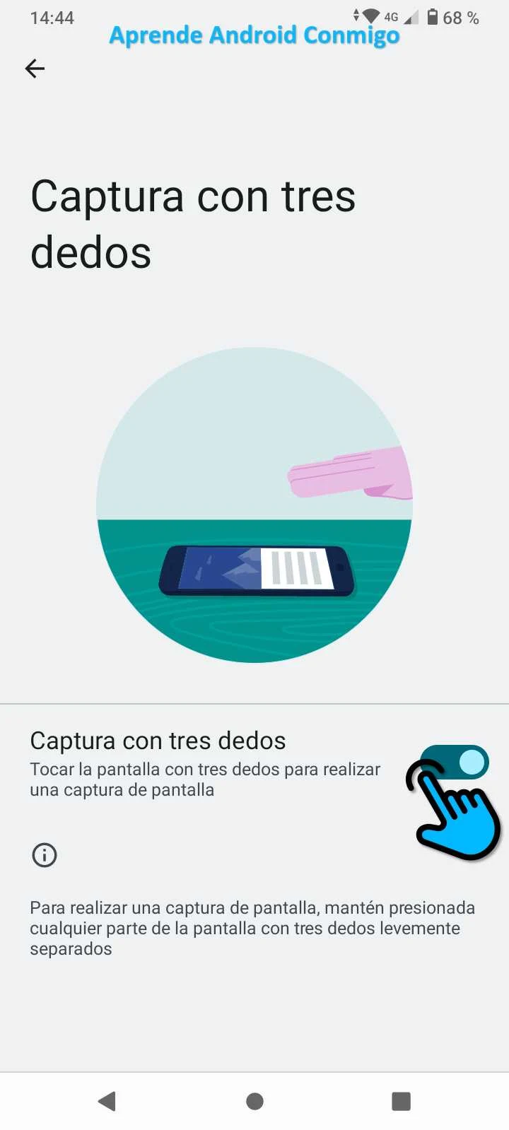 Paso 7
