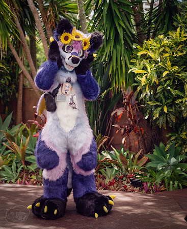 furdu--3.jpg