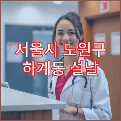 서울시 노원구 하계동 설날 명절 연휴 당직약국 하계역·을지병원 주변 심야 운영 감기약 구매 가능 약국