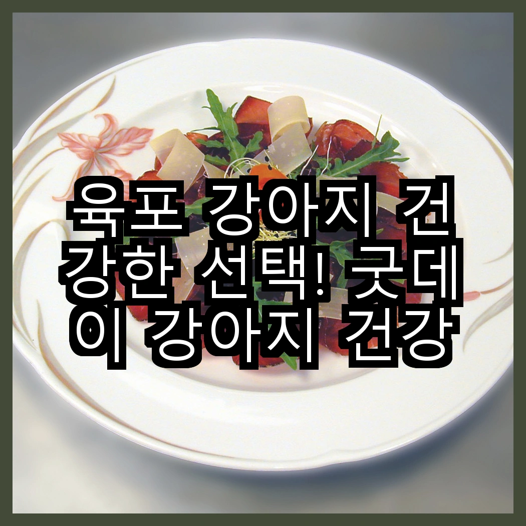 육포 강아지 건강한 선택! 굿데이 강아지 건강한 육포 vs 굿데이 건강한 육포 강아지 간식, 어떤 것이 더 매력적일까? 썸네일