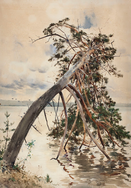 Świteź 1888