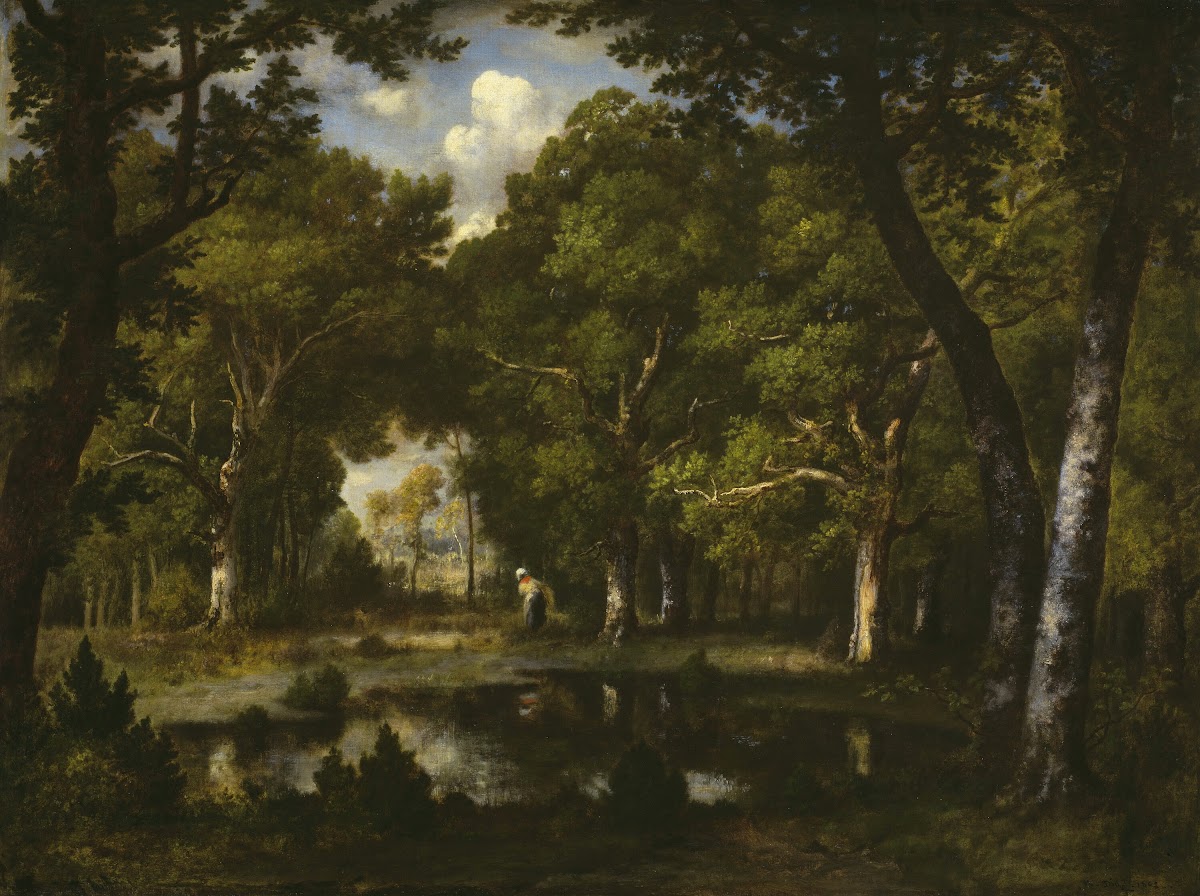 Pond in the Woods 1862