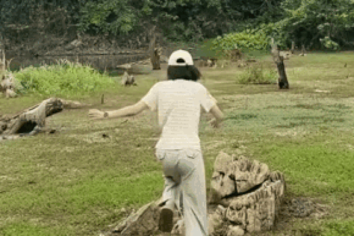 Hào hứng đi săn bướm ở rừng Cúc Phương, cô gái gặp cái kết không thể ngờ - Tạp chí SaoStar
