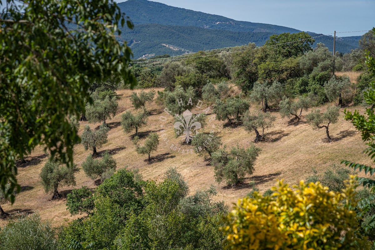 קזאלה דל פוצו (Casale del Pozzo) — 19