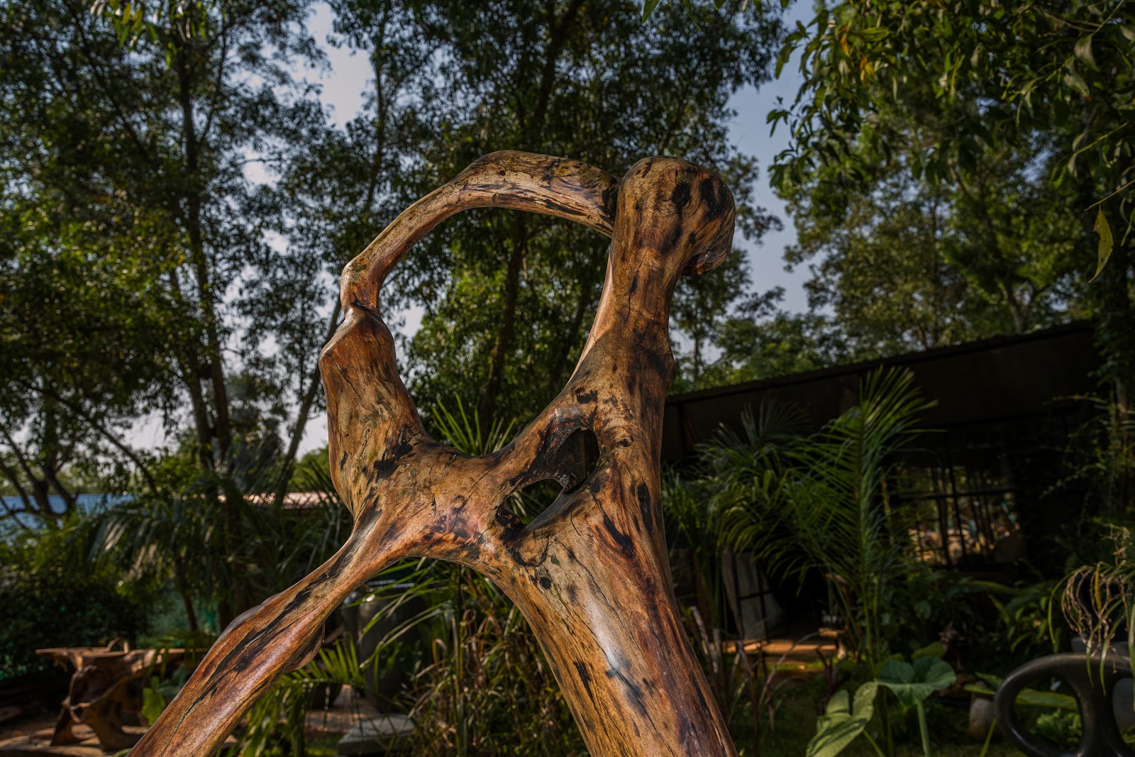 Sculptural Neem Void, studio view 5