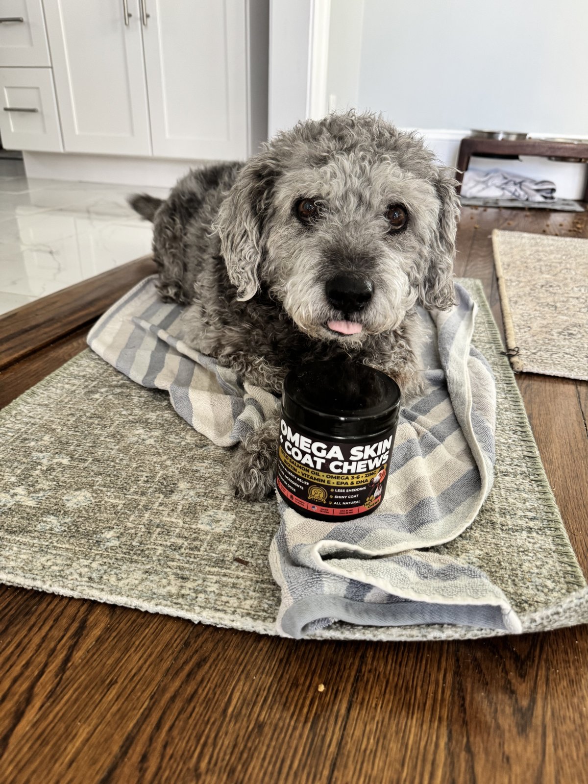 Omega 3 Pup Choice — influencer photo — theme: spring allergies in dogs