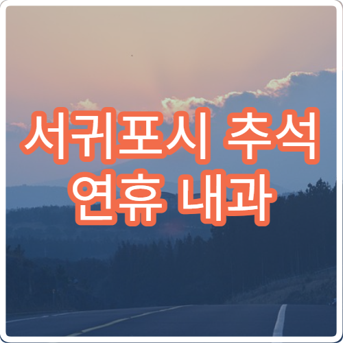 서귀포시 추석 연휴 내과 진료 병원 찾는 방법과 운영시간 안내