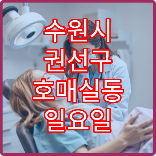 수원시 권선구 호매실동 일요일 통증의학과 진료 병원 정리