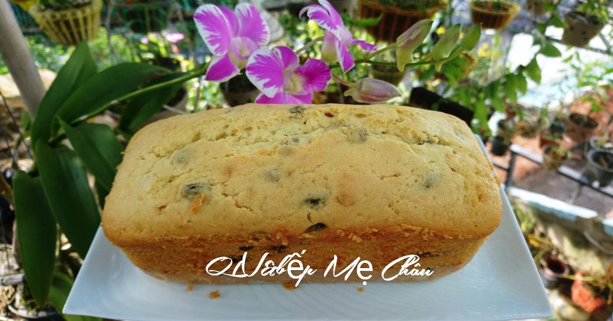 Bánh bông lan bơ nho