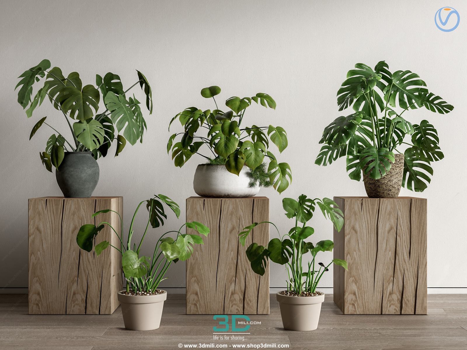 978.Sell Album Indoor Plant PRO Vol 01
