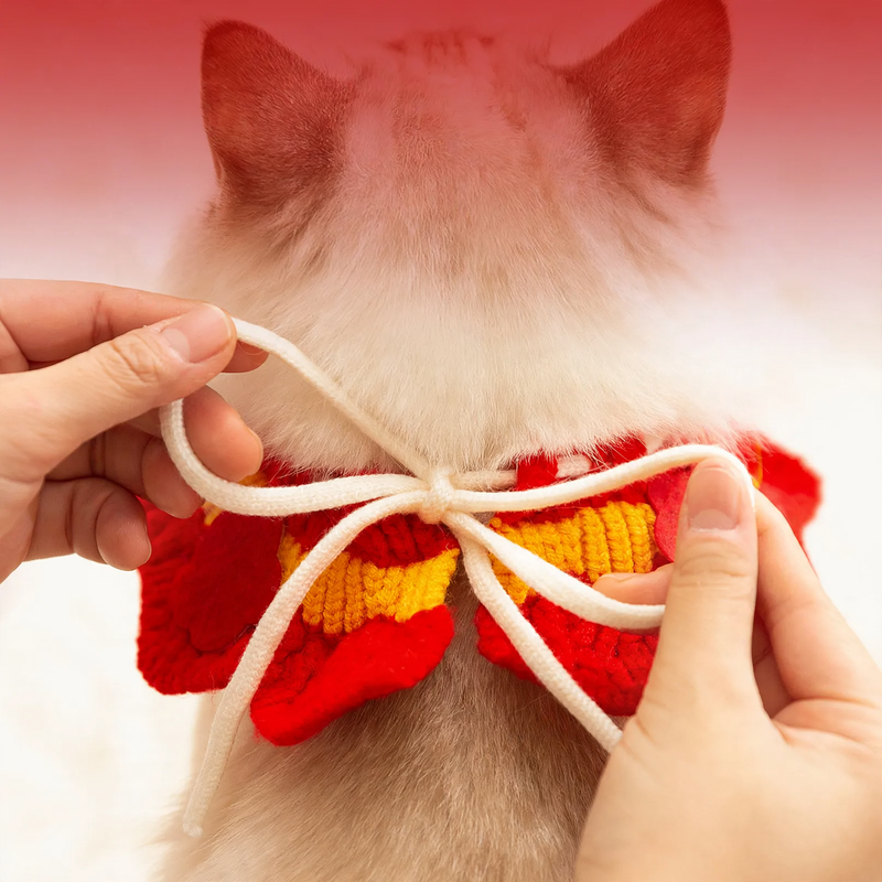 Knitted New Year's Collar for Dogs and Cats