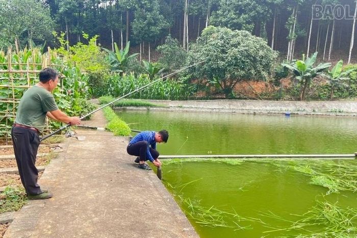 Hướng đi mới cho thủy sản Bảo Hà - Báo Lào Cai