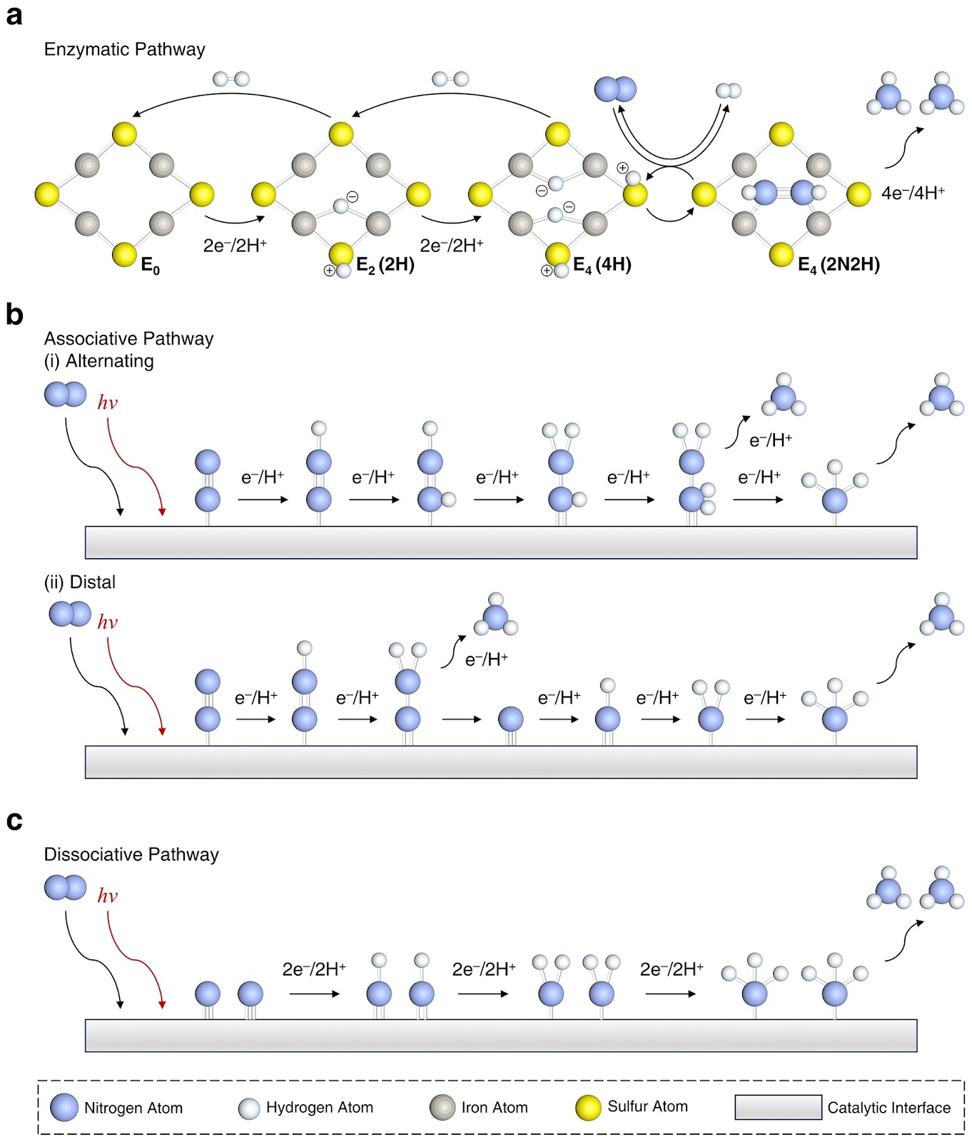 Design Refinement of Catalytic System for Scale-Up Mild Nitrogen Photo-Fixation