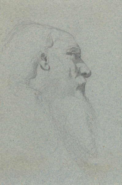 Head of a Bearded Man Looking Right