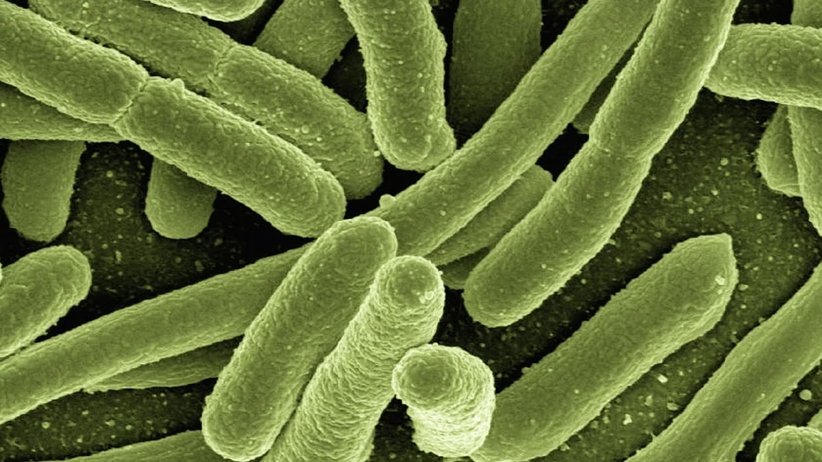 식사 후 바로 누우면 안 되는 이유와 건강 영향