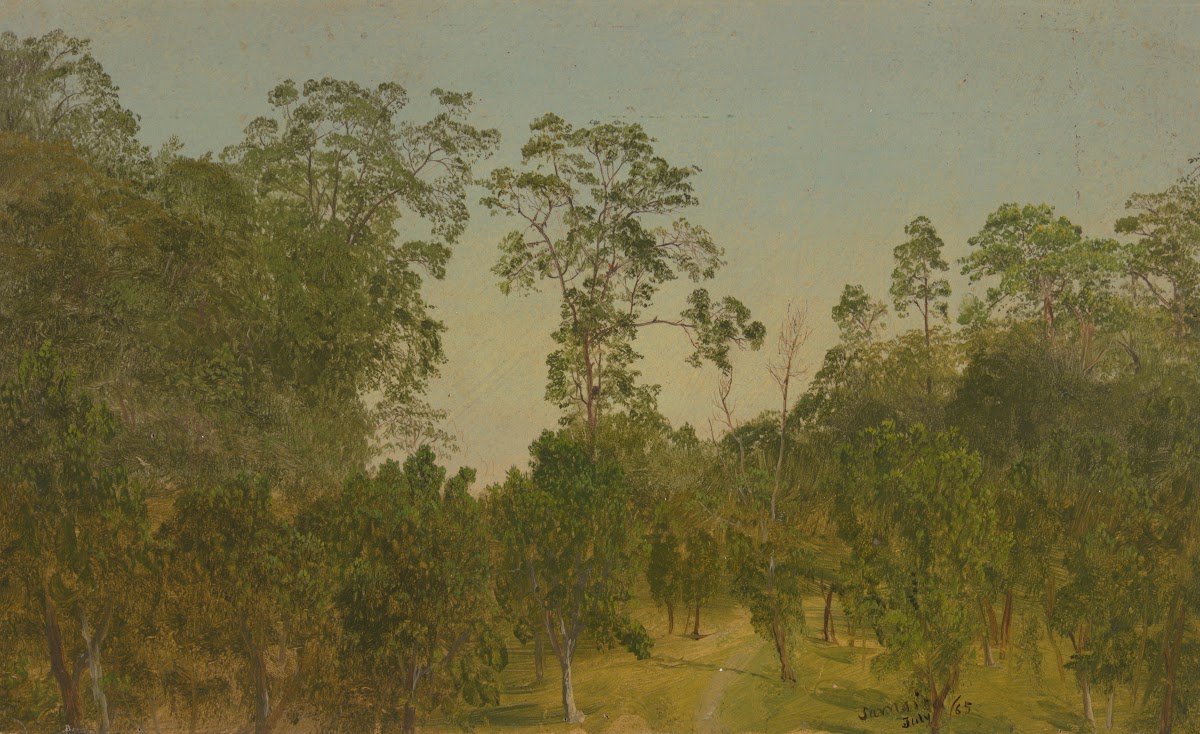 Landscapes July 1865