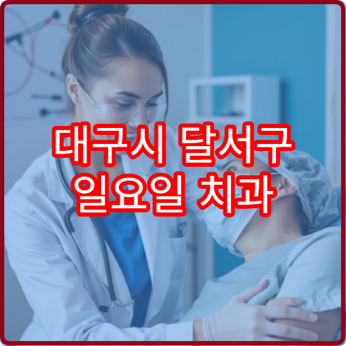 대구시 달서구 일요일 치과 진료 가능한 병원 리스트 정리