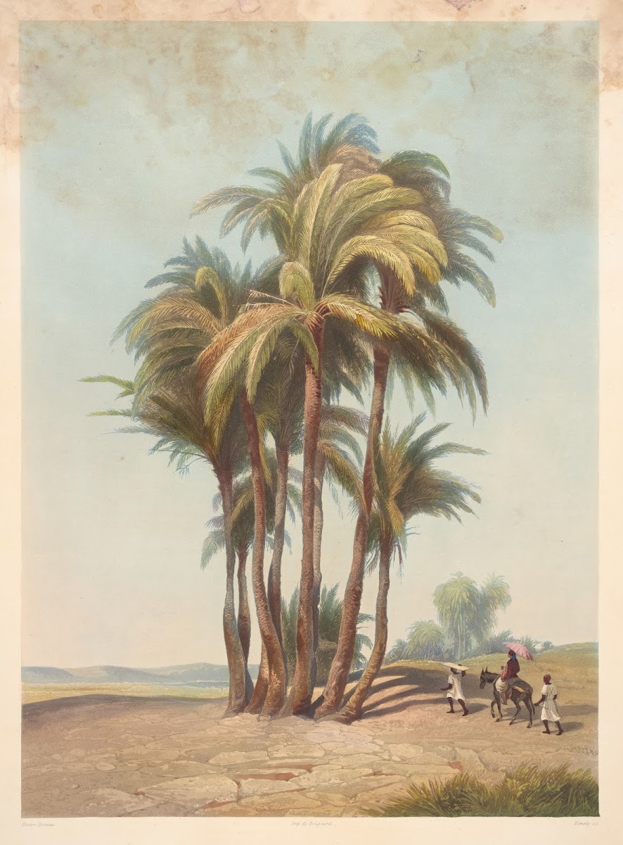 Bouquet de palmiers Cluster of palm trees 1941