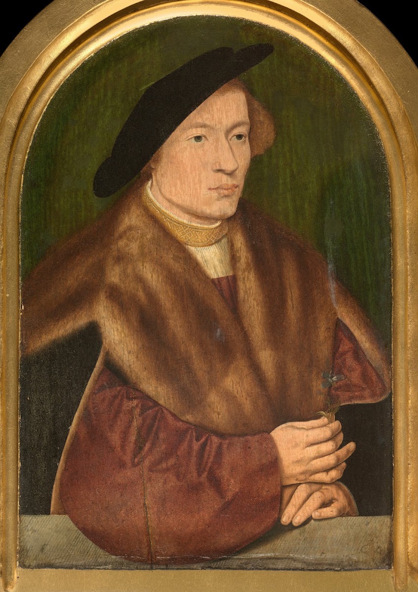 Portrait of a Young Man 1528