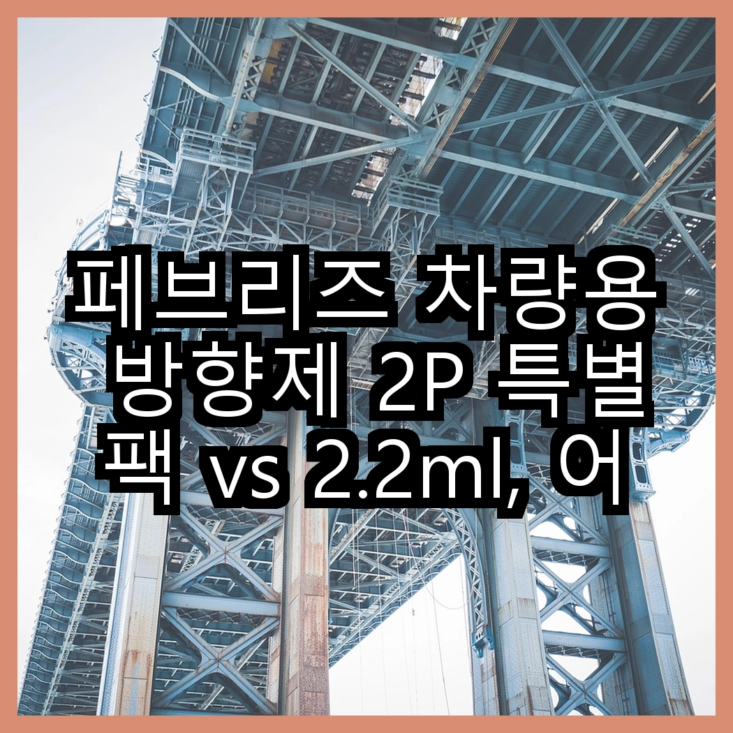 페브리즈 차량용 방향제 2P 특별팩 vs 2.2ml, 어떤 선택이 더 매력적일까? 썸네일