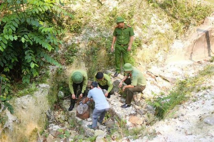 Thả rắn hổ mang chúa quý hiếm về rừng tự nhiên - Báo Sức Khỏe &amp; Đời Sống