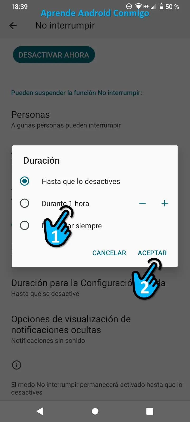 Paso 22