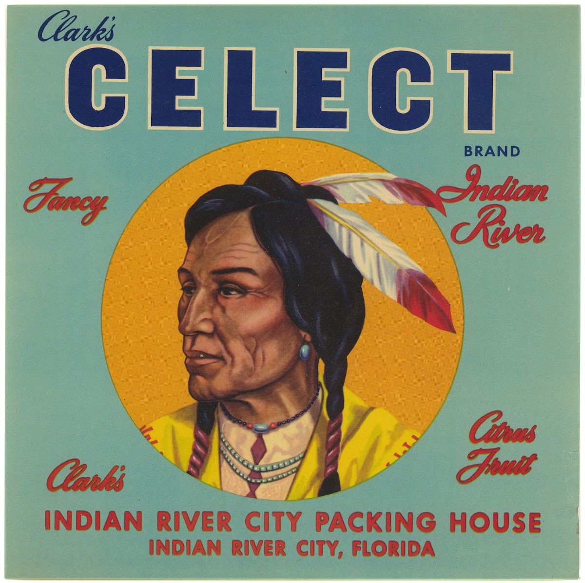 Clarks Celect Brand Fancy Citrus Fruit Label 1930 1950