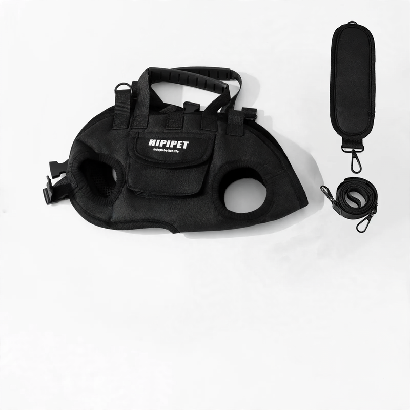 Multifunctional pet bag with leash