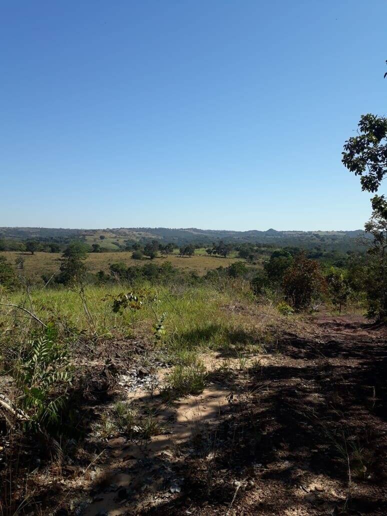 Fazenda em Palestina de Goiás-GO 3