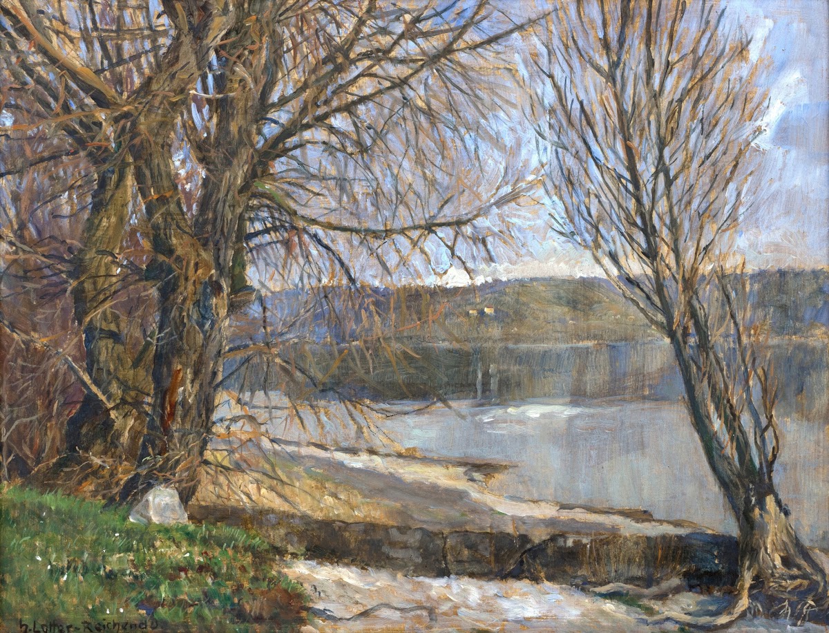 Am Ufer der Reichenau